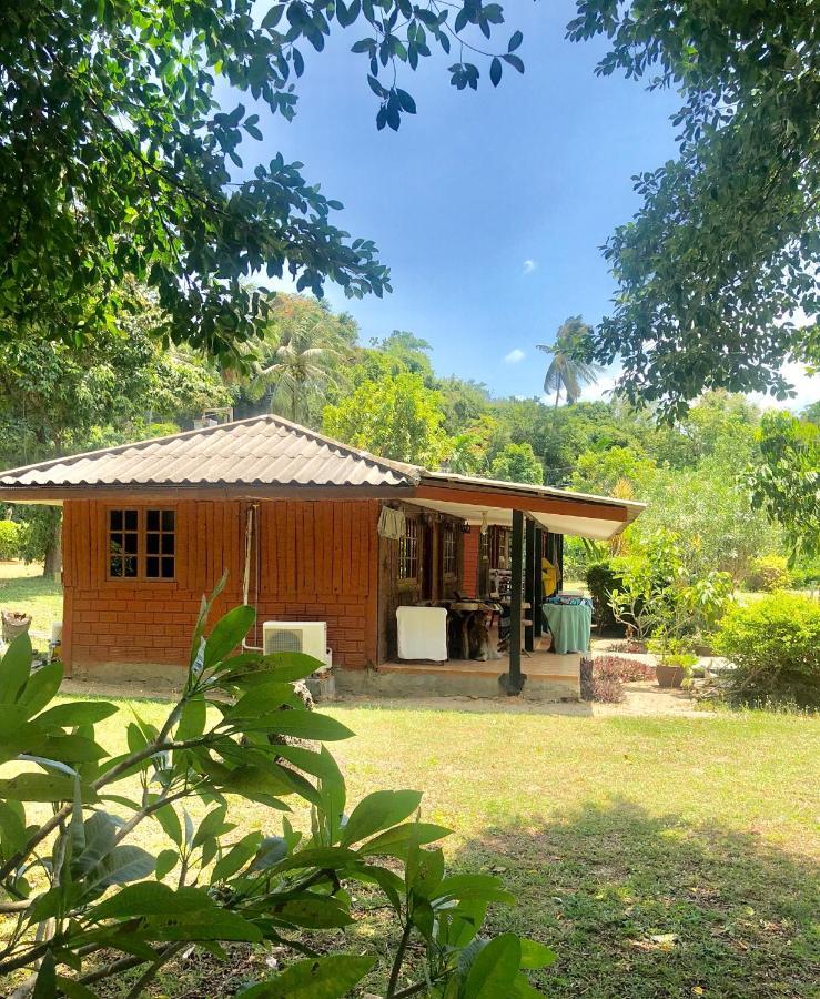 Lamai Chalet Amphoe Koksamui Extérieur photo